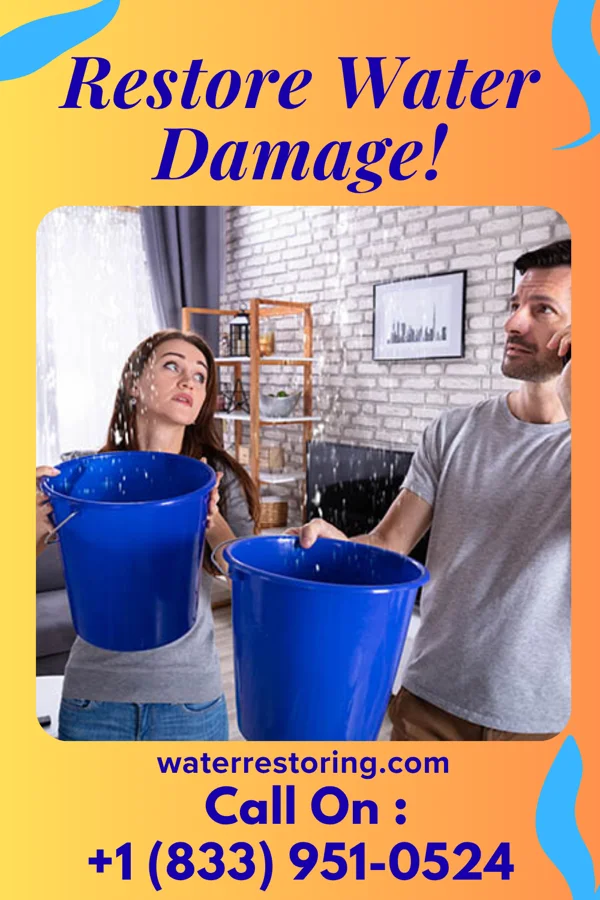 water restoration National Water Removal Brothers Clarendon