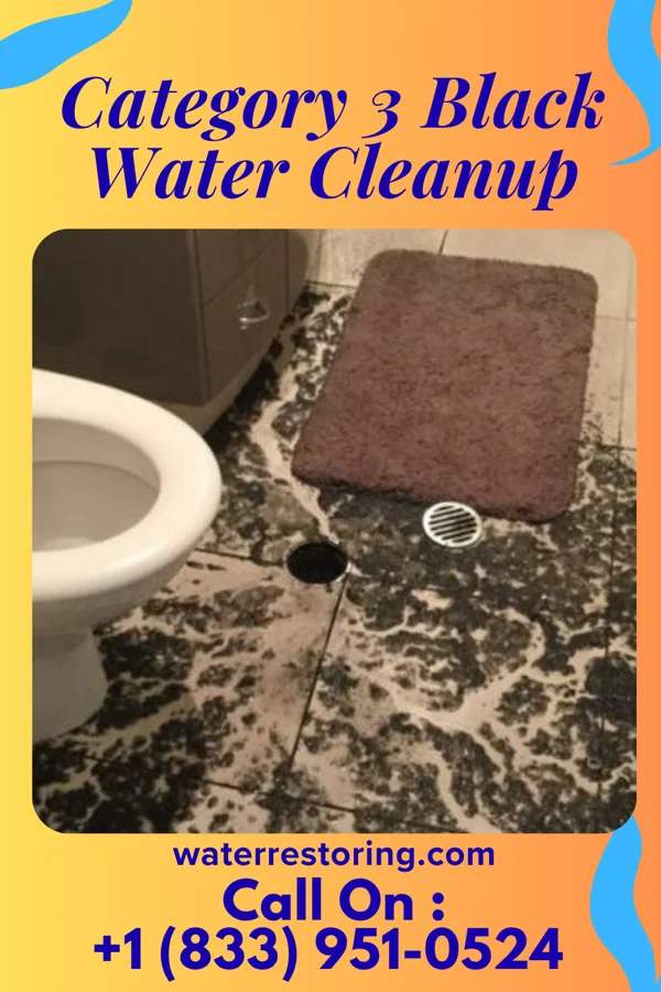 Category 3 Black Water Cleanup in Clarendon, PA