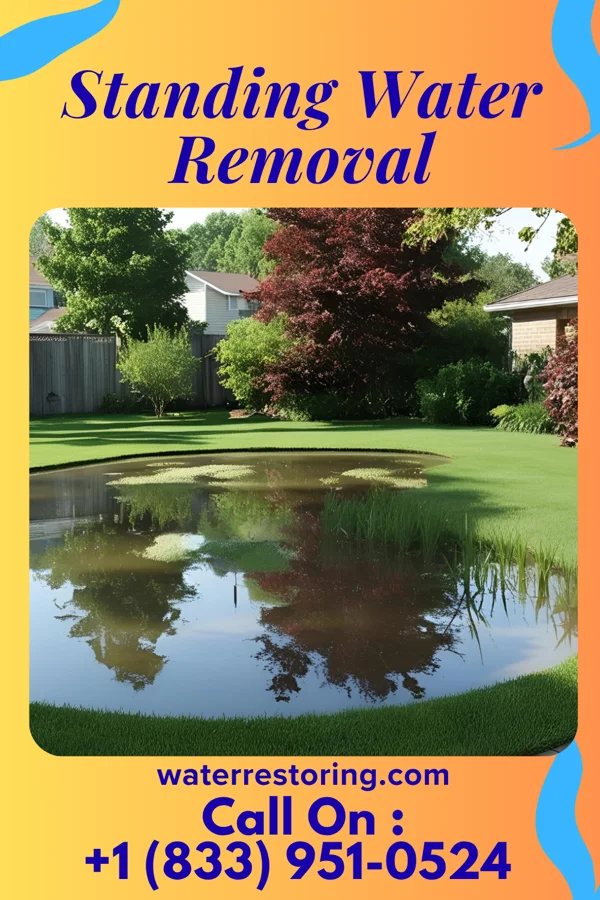 Standing Water Removal in Clarendon, PA